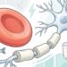 Vitamina B12: para que serve, seus benefícios e a quantidade necessária por dia