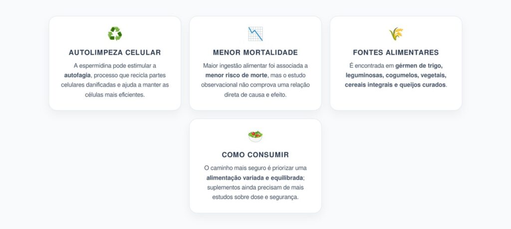 Espermidina e Longevidade: Como a “Autolimpeza” Celular Pode Estar Ligada a Menos Mortes