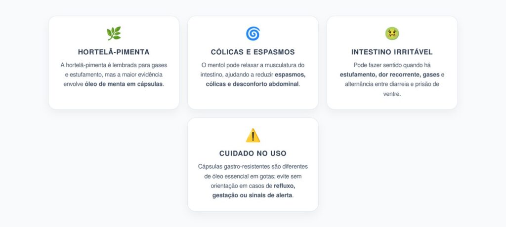 Hortelã-Pimenta e Intestino Irritável: Óleo de Menta para Estufamento e Cólicas