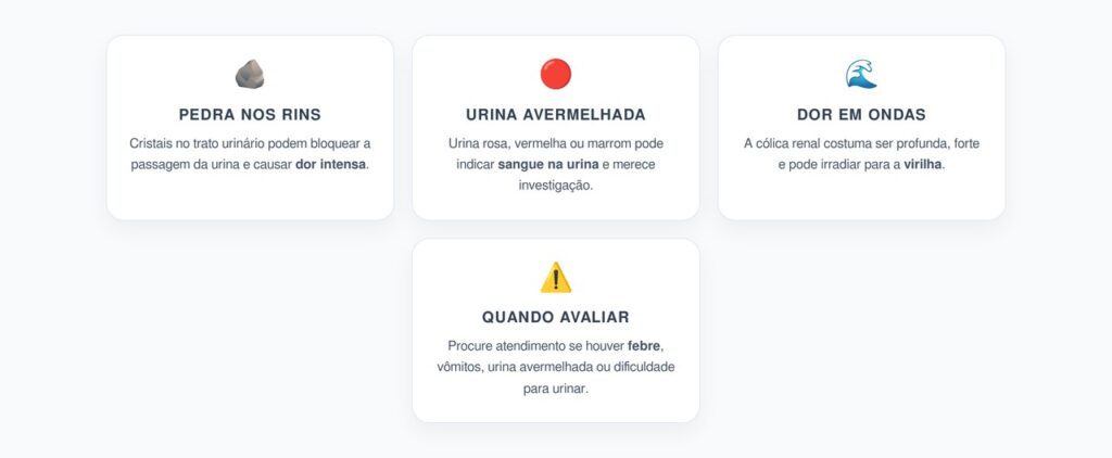 Dor nas Costas e Urina Avermelhada: Sinais de Pedra nos Rins