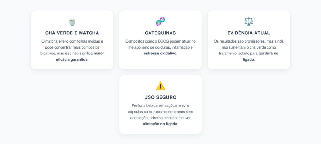 Matcha e Chá Verde para Gordura no Fígado: Evidência, Promessa e Cuidados