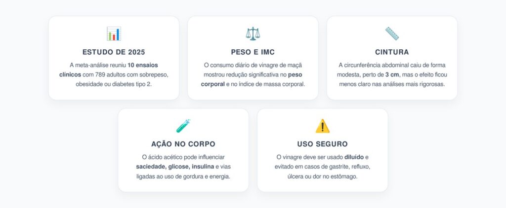 Vinagre de Maçã e Cintura: O Que a Meta-Análise de 2025 Revelou