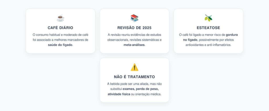 Café Todos os Dias e Fígado: O Que a Revisão de 2025 Mostrou Sobre Esteatose e Fibrose