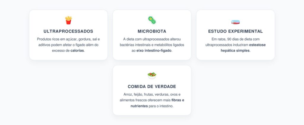 Ultraprocessados e Fígado: O Papel da Microbiota no Acúmulo de Gordura Hepática