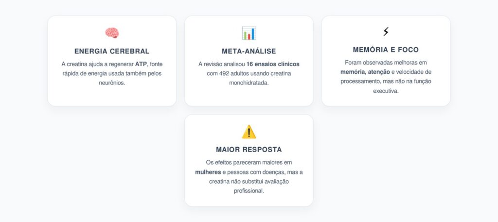 Creatina para o Cérebro: O Que a Meta-Análise Mostrou Sobre Memória, Atenção e Velocidade Mental