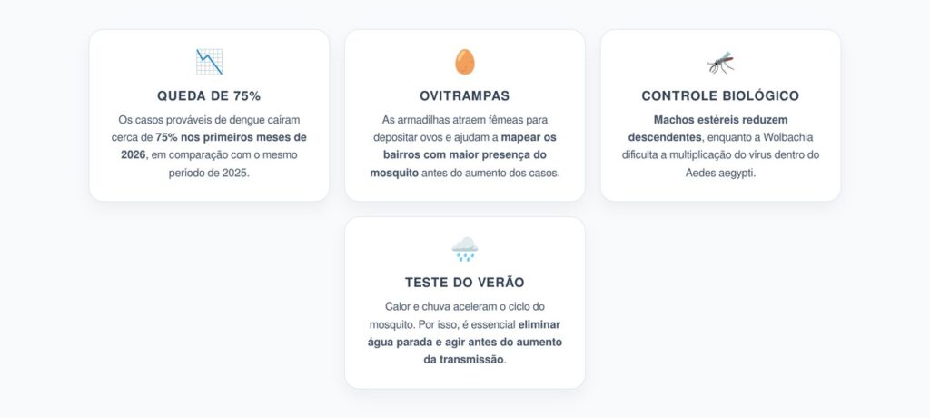 Dengue Cai 75%: Como Ovitrampas, Insetos Estéreis e Wolbachia Preparam o Próximo Verão