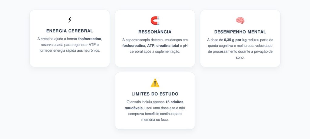 Creatina no Cérebro: O Que a Ressonância Revelou Sobre Energia e Desempenho Mental