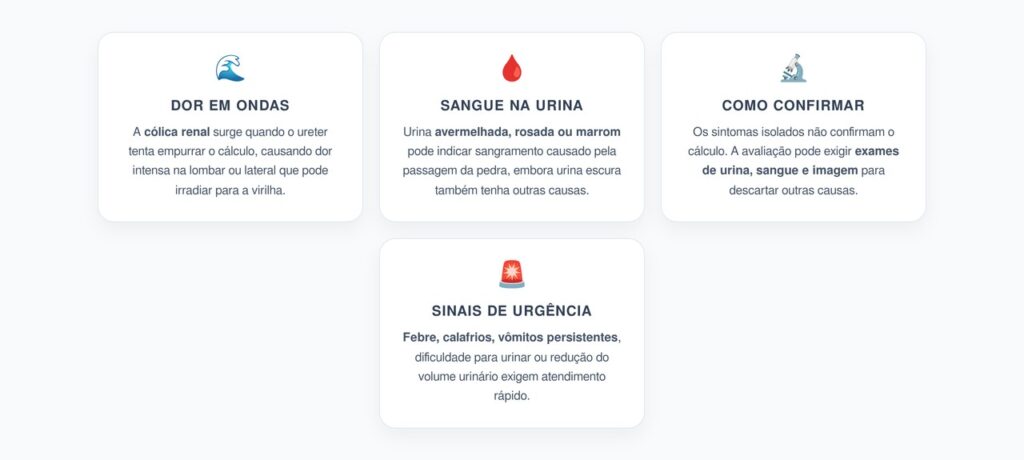 Urina Escura e Dor Lombar em Ondas Podem Sinalizar Pedra nos Rins