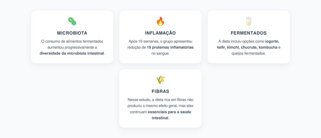Alimentos Fermentados: Mais Diversidade Intestinal e 19 Marcadores de Inflamação Reduzidos