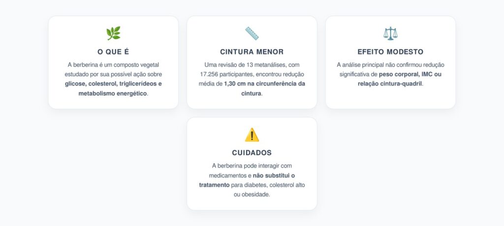 Berberina e Gordura Abdominal: Redução Média de 1,30 cm na Cintura