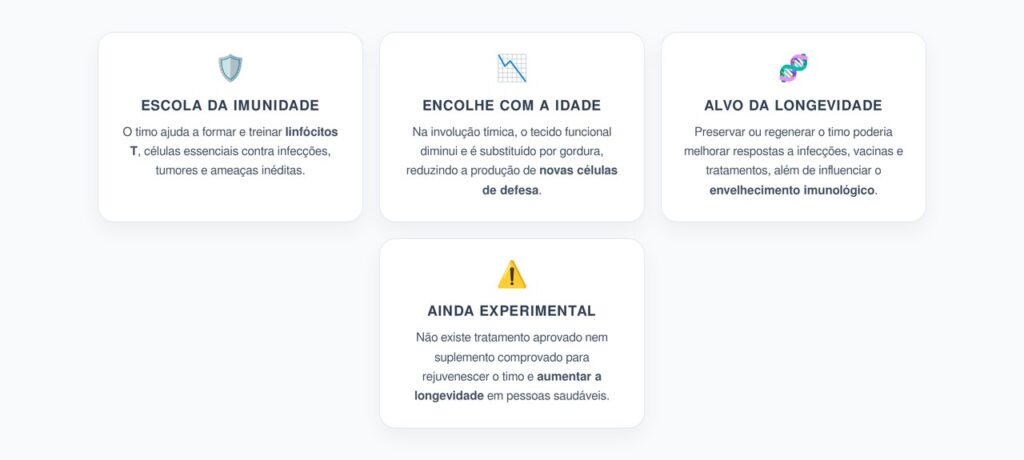 Timo: O Órgão que Encolhe com a Idade e Pode Influenciar a Longevidade