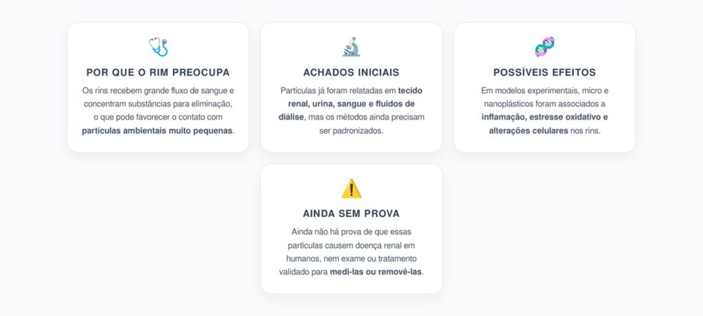 Microplásticos nos Rins: Por Que Cientistas Pedem Monitoramento Humano Urgente