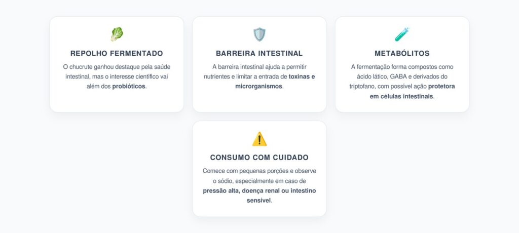 Repolho Fermentado: Metabólitos que Podem Proteger a Barreira Intestinal