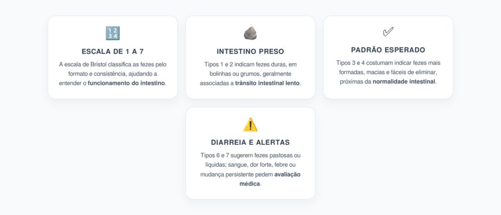 Escala de Bristol: O Número das Fezes que Revela Como Está o Intestino