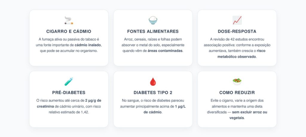 Cádmio e Pré-Diabetes: 6 Alertas Sobre a Exposição e o Risco