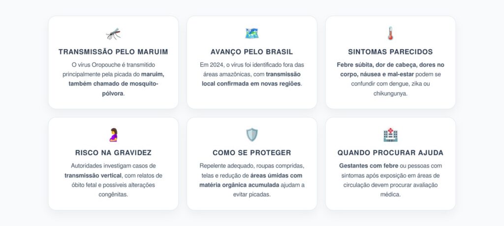 Febre de Oropouche: 6 Alertas Sobre Sintomas, Transmissão e Risco na Gravidez