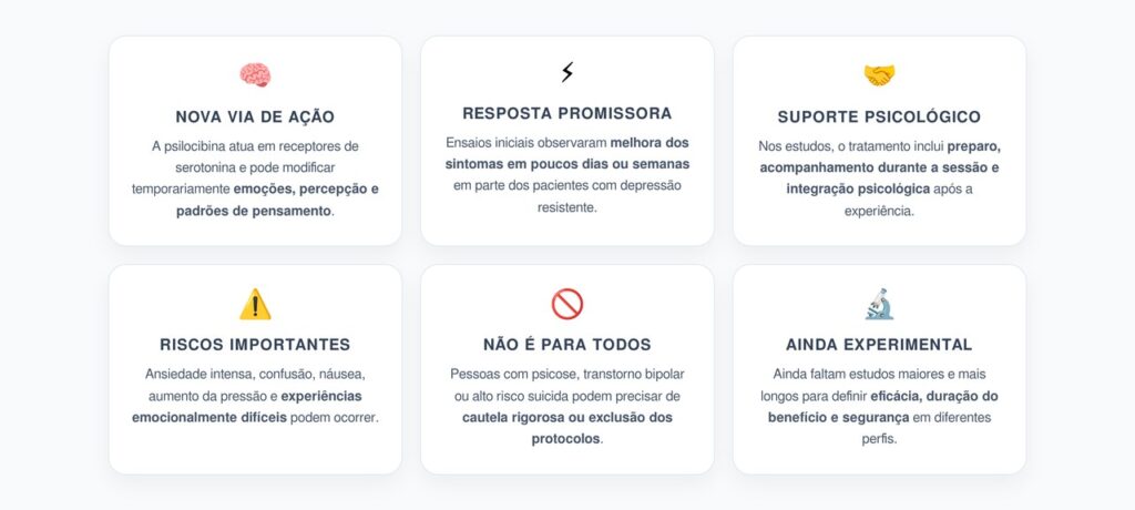 Psilocibina e Depressão Resistente: 6 Pontos Sobre Benefícios, Riscos e Limites