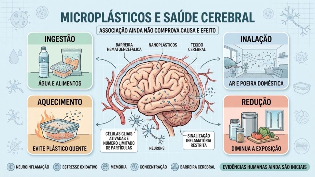 Exposição, entrada no organismo, possíveis efeitos e prevenção orientam o cuidado diário.