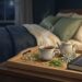 Chás que ajudam a relaxar antes de dormir e como escolher o melhor para você