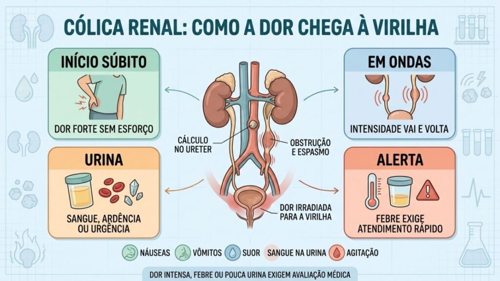 Obstrução, espasmos, alterações urinárias e febre ajudam a reconhecer a cólica renal.