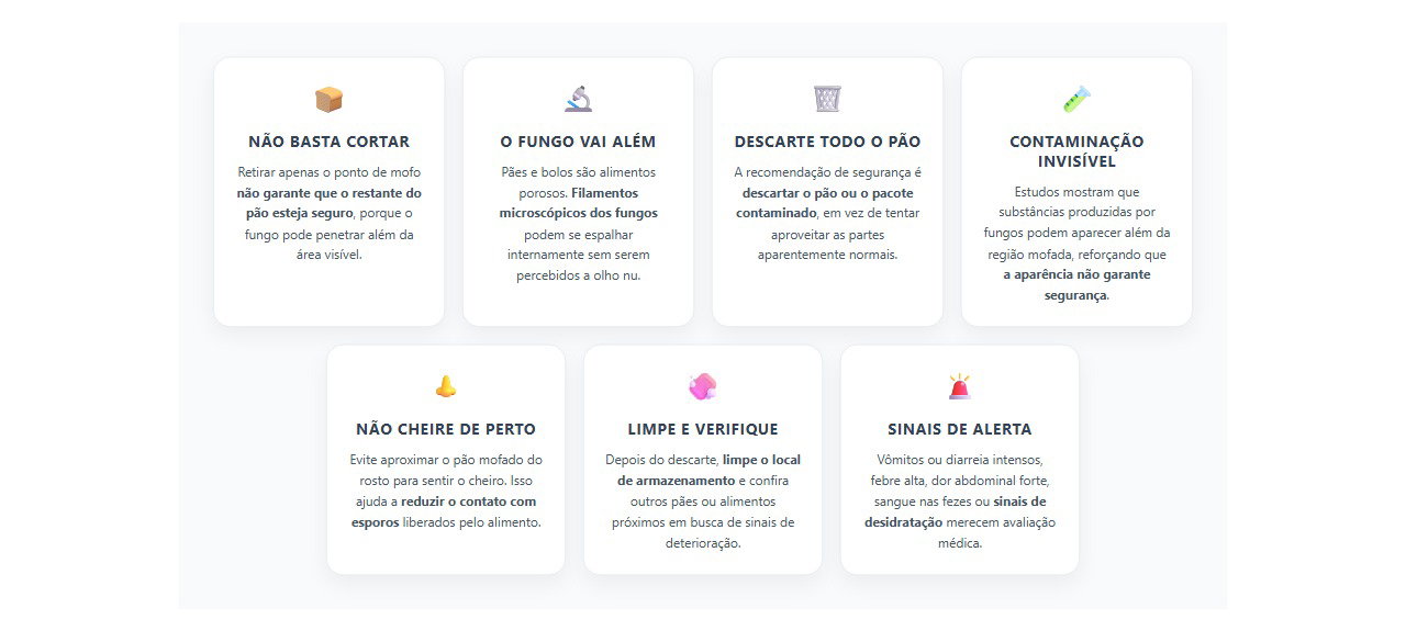 Pão com mofo: por que cortar a parte visível não torna o restante seguro