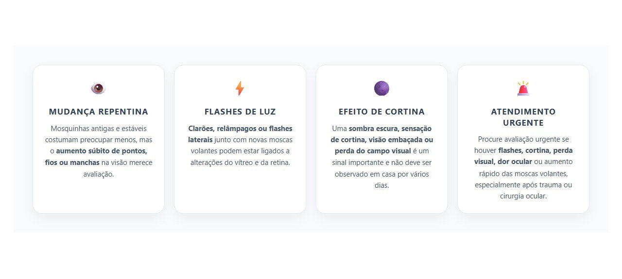 Moscas Volantes e Flashes de Luz: Quando a Visão Exige Avaliação Urgente