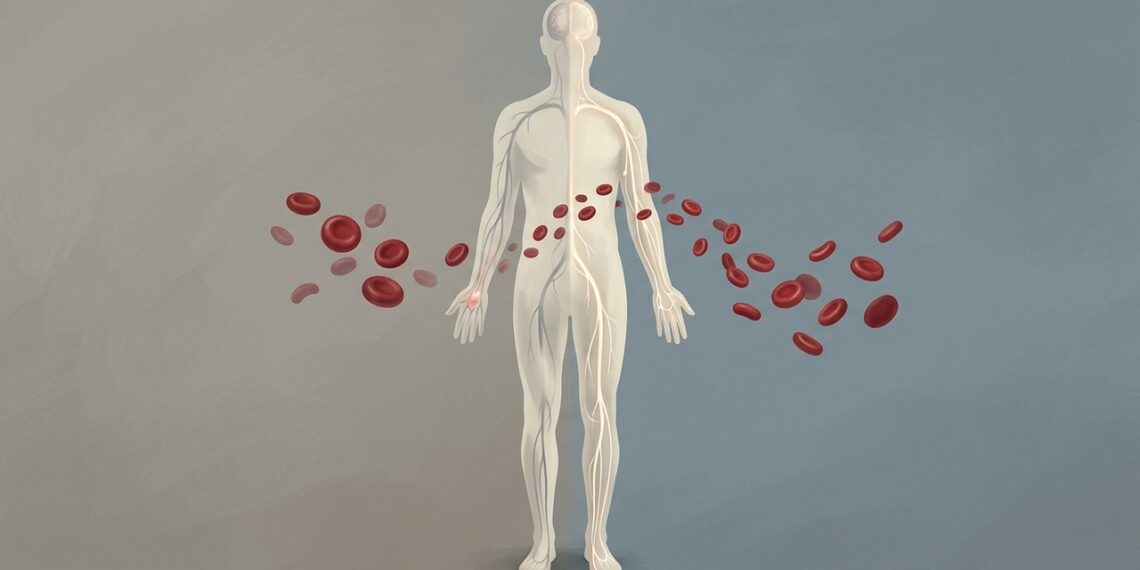 Como a vitamina B12 atua para combater o cansaço e qual o prazo para notar mais disposição?