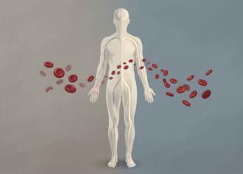 Como a vitamina B12 atua para combater o cansaço e qual o prazo para notar mais disposição?