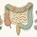 O melhor chá para ajudar o intestino a funcionar e aliviar o desconforto da prisão de ventre