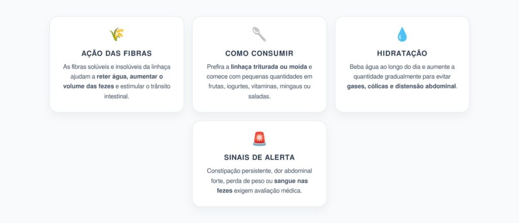 Linhaça para o Intestino: Como Usar para Aliviar a Constipação