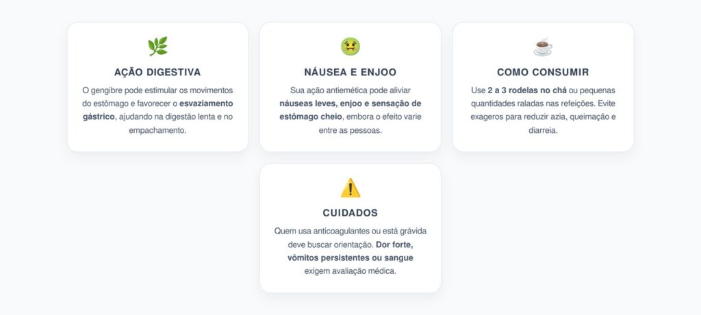 Gengibre para Digestão: Benefícios, Como Usar e Cuidados Importantes