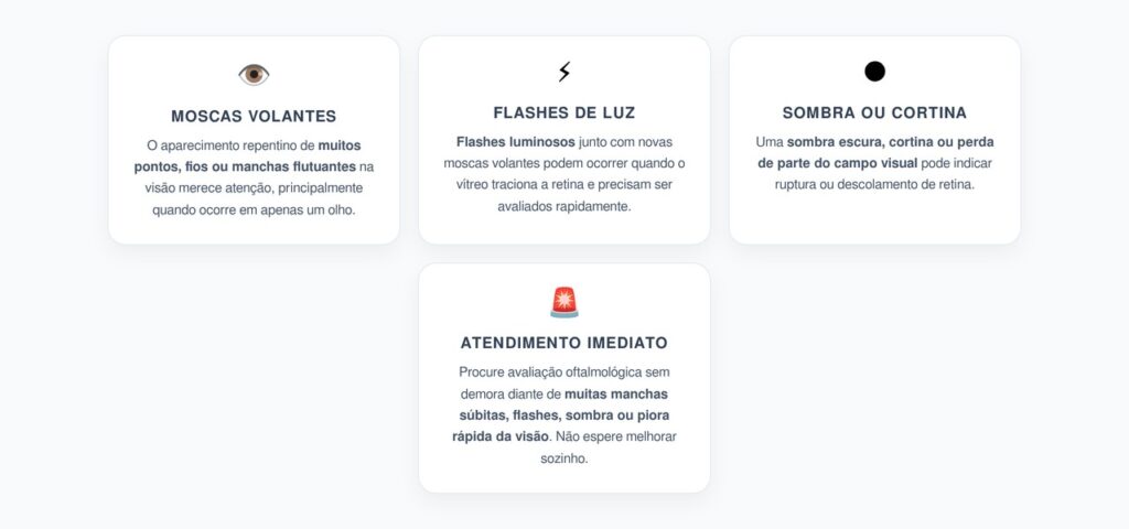 Moscas Volantes, Flashes e Sombra na Visão: Sinais de Alerta para a Retina