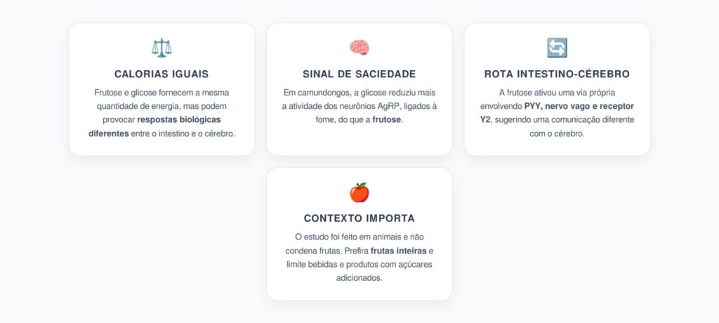 Frutose x Glicose: Mesmas Calorias, Respostas Diferentes no Cérebro