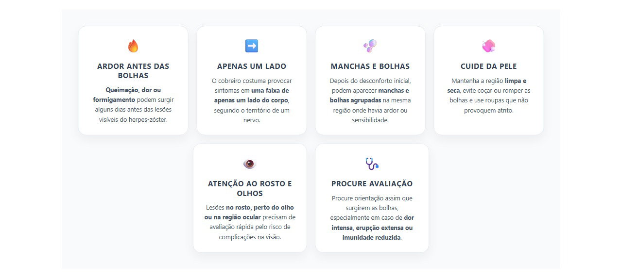Ardor em um lado do corpo antes das bolhas: 6 sinais que podem indicar cobreiro