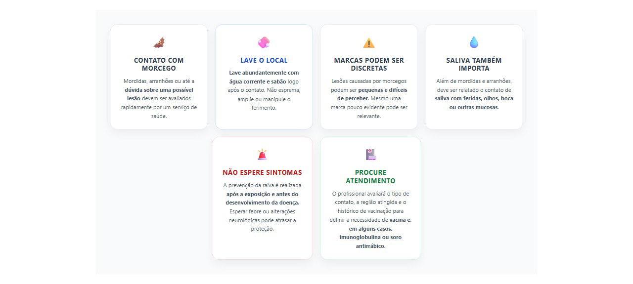 Morcego encostou ou arranhou: o que fazer para prevenir a raiva