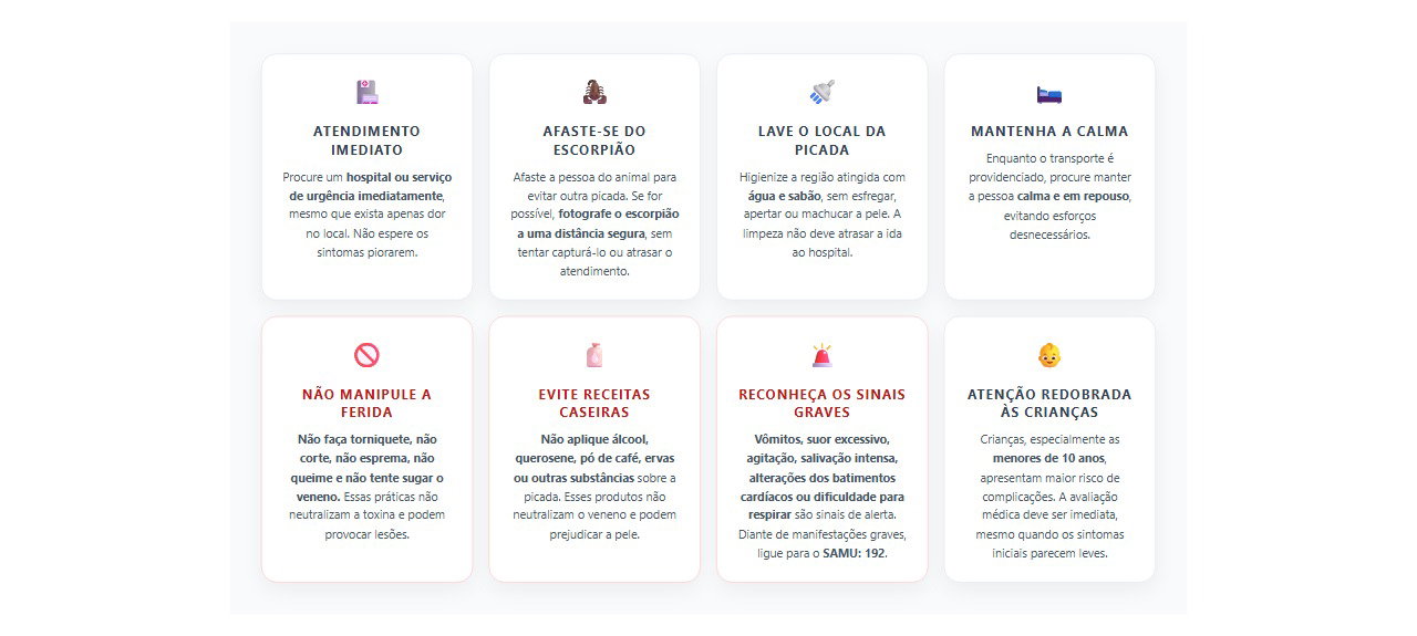 Picada de escorpião: 8 cuidados essenciais antes de chegar ao hospital