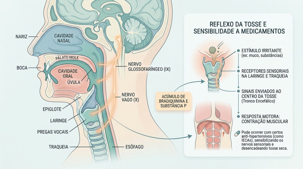 Alguns medicamentos para pressão podem aumentar a sensibilidade das vias respiratórias e estimular a tosse seca.