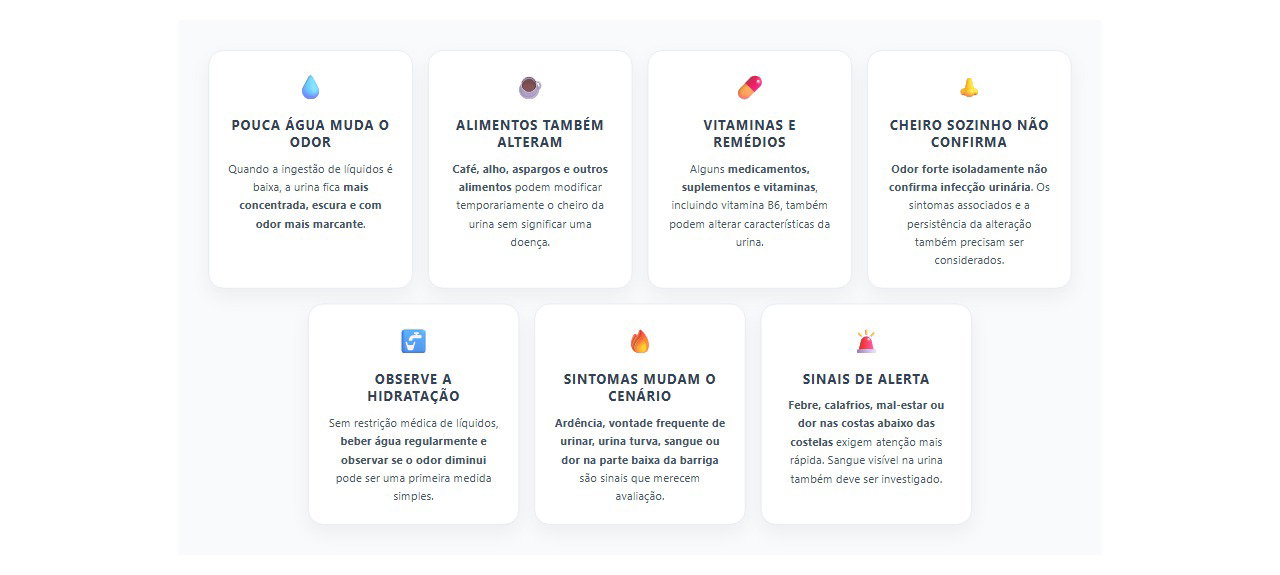 Urina com cheiro forte: 7 sinais para saber quando pode não ser infecção
