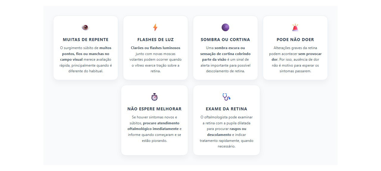 Moscas volantes e flashes: sinais de alerta para a retina