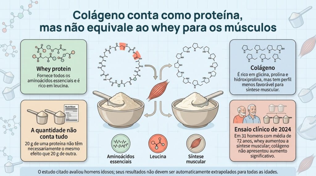 Quantidades iguais de proteína podem ter efeitos diferentes porque o perfil de aminoácidos muda entre whey e colágeno.