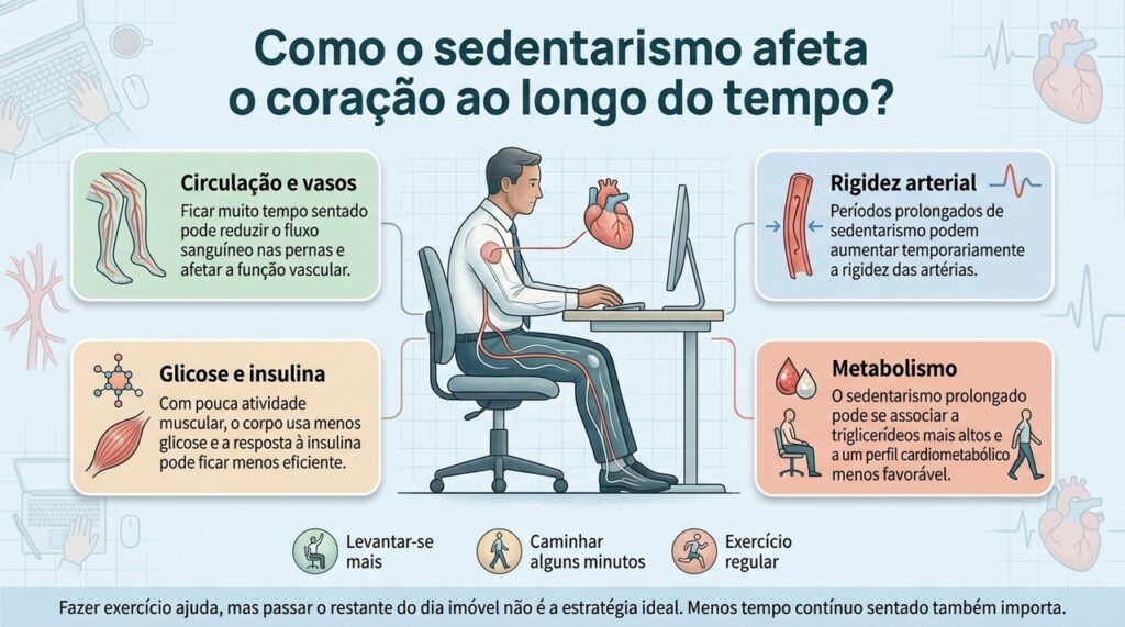 O sedentarismo prolongado afeta a circulação, o metabolismo e a função vascular, e seus efeitos podem se acumular ao longo dos anos.