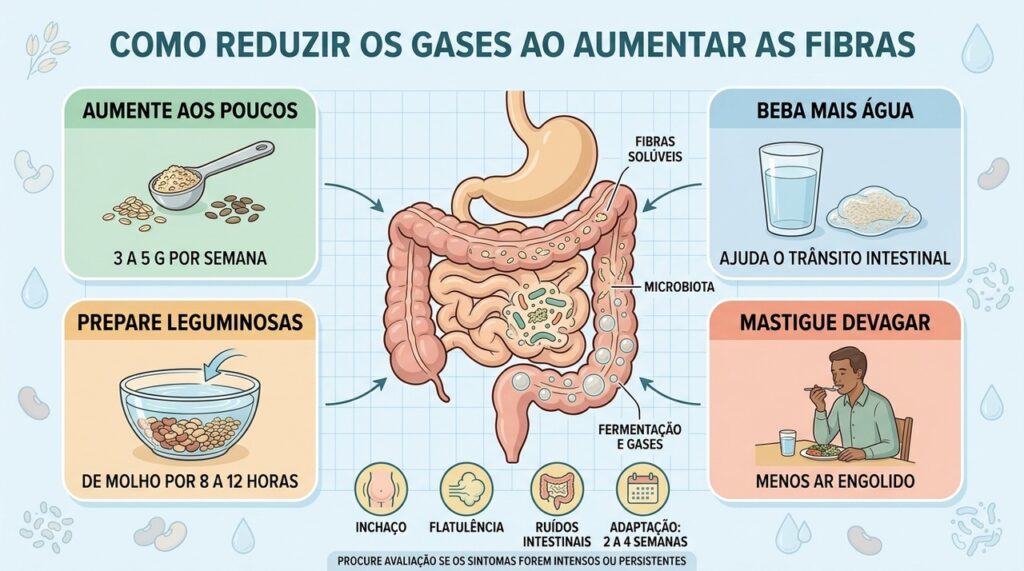 Aumento gradual, água, preparo correto e mastigação ajudam a reduzir gases.