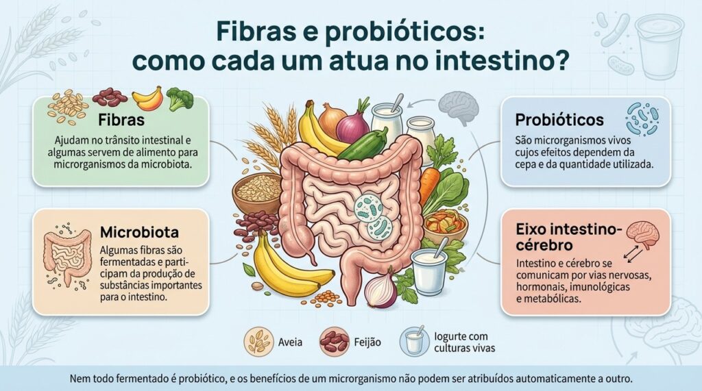 Fibras alimentam parte da microbiota, enquanto probióticos fornecem microrganismos específicos com efeitos que dependem da cepa.