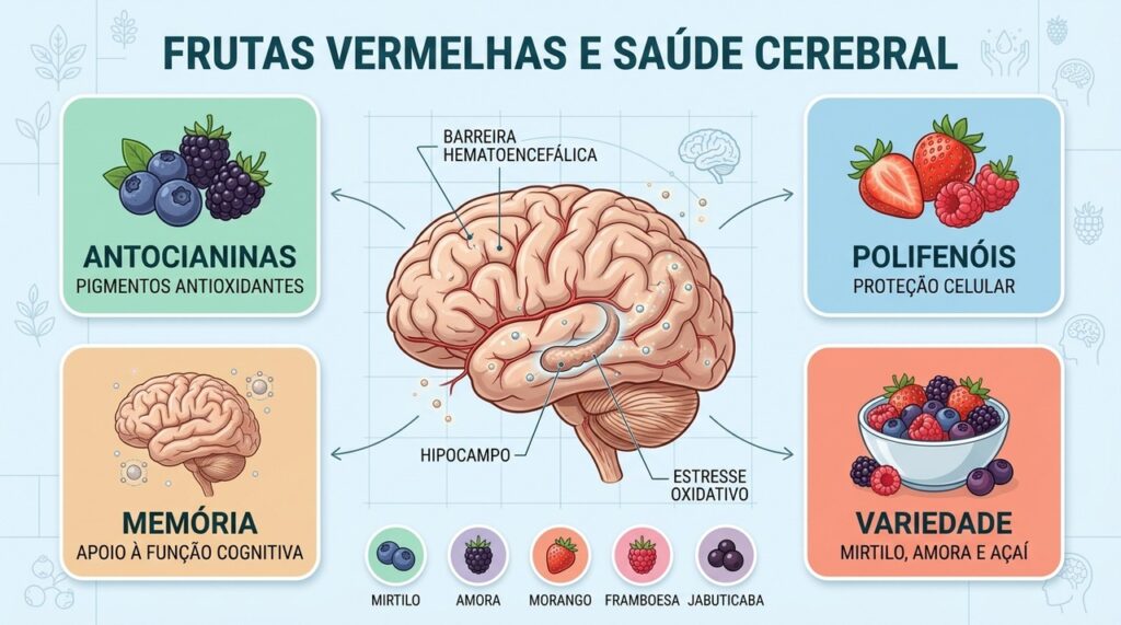 Antocianinas, polifenóis e variedade de frutas ajudam a explicar o interesse pela memória.