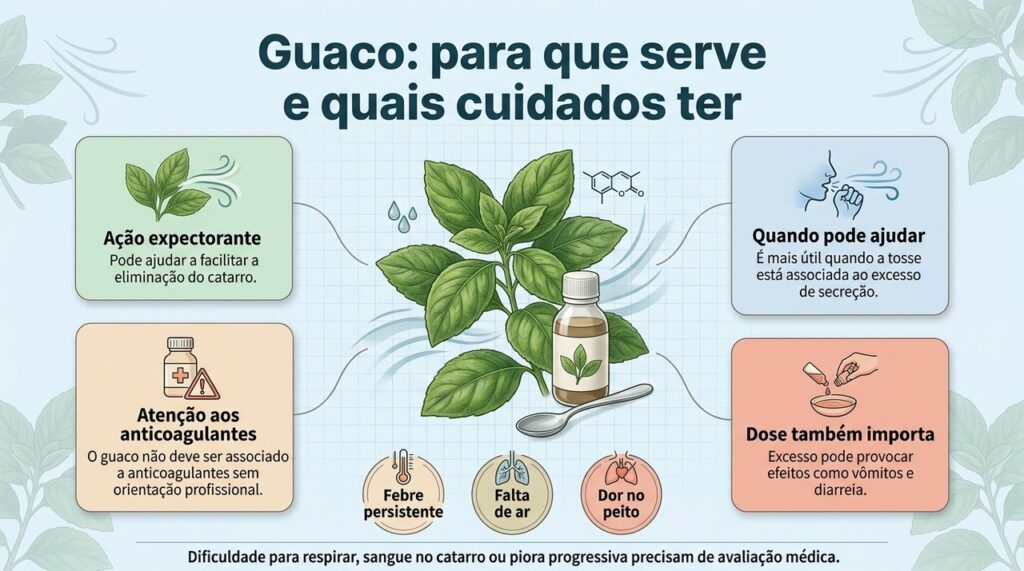 O guaco pode ser usado como expectorante em situações adequadas, mas falta de ar e sinais de alerta exigem avaliação médica.