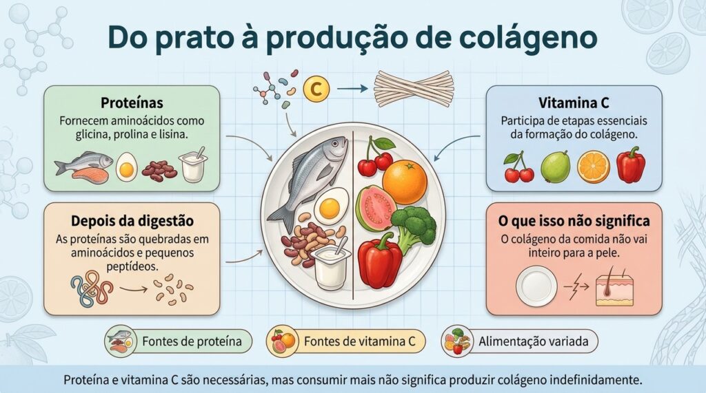 O corpo usa aminoácidos e vitamina C como parte das matérias-primas necessárias para formar colágeno.