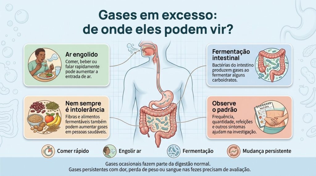 Gases podem surgir tanto do ar engolido quanto da fermentação intestinal, e nem sempre indicam que um alimento fez mal.