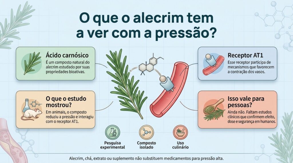 O efeito do ácido carnósico sobre a pressão foi observado principalmente em estudos experimentais, não como tratamento comprovado em humanos.