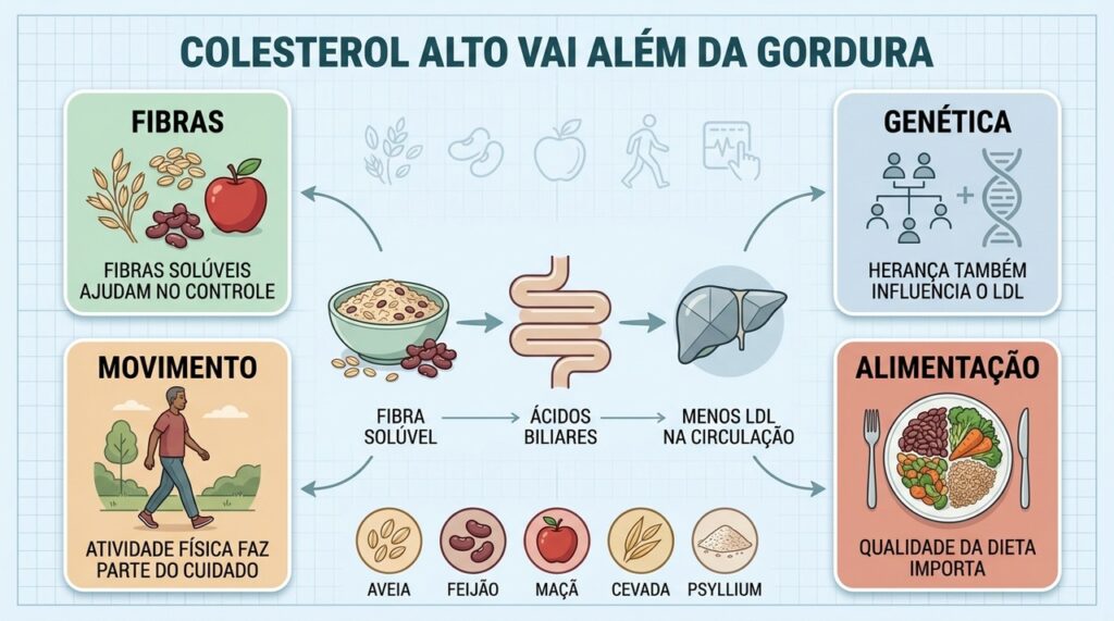 Fibras, genética, movimento e alimentação atuam juntos no controle do colesterol.