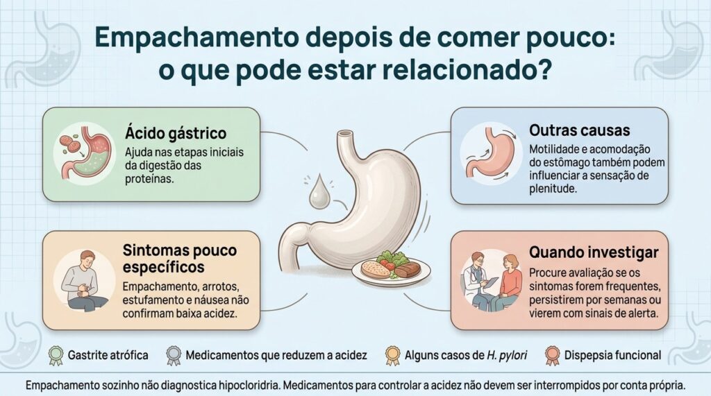 Infográfico mostra estômago, pequena refeição e fatores associados ao empachamento, incluindo acidez gástrica, motilidade, sintomas e indicação de avaliação.